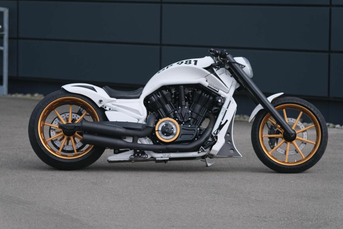 Harley Davidson Night Rod Special NLC „GP 981“